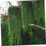 15 Pcs coffee Plastic Hanging Planter Hanging Plant Pots Hanging Plant Containers with Drainage Holes and Hooks for Balcony