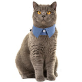 2pcs Cat Collar Breakaway with Cute Bow Tie and Bell for Kitty Adjustable Safety Designed with solid basic color and stripe style