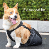Drag Bag for Paralyzed Pets, Indoor Dog Wheelchair Alternative for Disabled Back Rear Legs Dog, Comfortable (Medium) In Australia - Darrahopens
