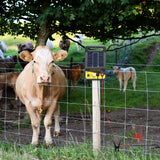 Electric Fence Wire Connect The Energizer and Electric Fence Charger Solar Fence Charger Solar Powered Electric Fence, 3 Ft In Australia - Darrahopens