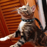 Enjoying Spiked Dog Collar Spiky Cat Collar Leather Adjustable Pet Collar Kitten Spiked Collar, Black Extra Small
