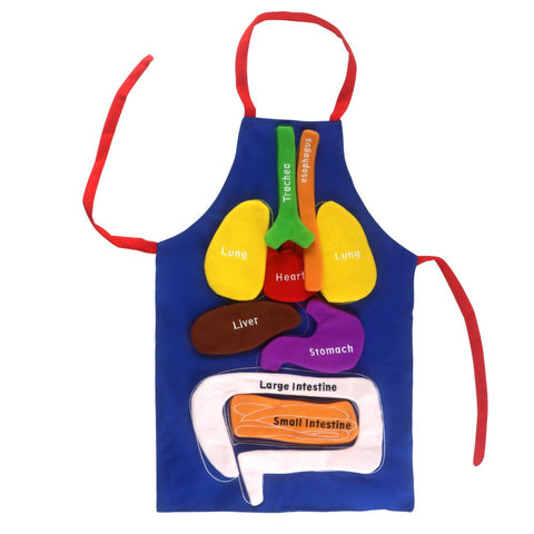 3D Organ Apron, Human Body Organs Apron Awareness Educational Tool Toy for Kids, Anatomy Costume Apron Plush Stuffed Viscera In Australia - Darrahopens