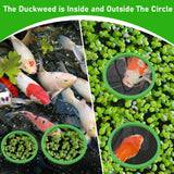 5Pcs Aquarium Floating Plant Rings and Fish Feeding Rings,Aquarium Floating Plant Corral,Fish Feeding Rings Floating