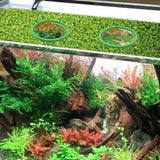 5Pcs Aquarium Floating Plant Rings and Fish Feeding Rings,Aquarium Floating Plant Corral,Fish Feeding Rings Floating In Australia - Darrahopens