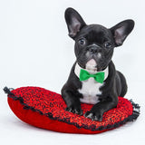 Elegant Dog Bow Tie - Cute Tuxedo Bowtie with Adjustable White Collar for Formal Pets - Perfect for Valentines, Weddings