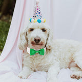 Elegant Dog Bow Tie - Cute Tuxedo Bowtie with Adjustable White Collar for Formal Pets - Perfect for Valentines, Weddings