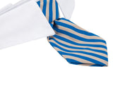 Pet Bowtie, Handcrafted Adjustable Formal Collar Neck Tie for Dogs & Cats (L, Blue Stripe)with adjustable velcro closure