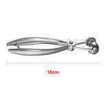 Cherry Pitter, Olive Stoner Pitter Olive Pitter Stainless Steel Cherry Picker Tool Heavy Duty Cherry Pit Picker Tool Fruit