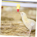 30 Pack Automatic Chicken Waterer Poultry Water Nipple Drinker Feeders Hen Duck Screw Style Chicken drinking ball valve