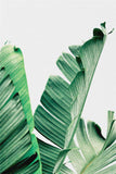 Living Room Wall art Green Leaf Simple Life Painting Bedroom Wall Decoration Plant 3 Pieces Canvas Art Painting Tropical Green In Australia - Darrahopens