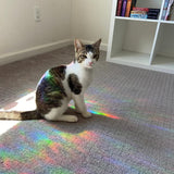 Window Stickers for Glass Windows, Bumper Window Decals, Bird Strike for Window Collisions, Reusable Rainbow Window Clings