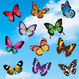 Colorful Butterfly Window Clings Double-Sided Anti-Collision Window Decals to Prevent Bird Strikes on Window Glass Non-Adhesive In Australia - Darrahopens