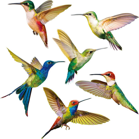 Hummingbird Window Clings Anti-Collision Window Clings Decals to Prevent Bird Strikes on Window Glass Hummingbird Stickers In Australia - Darrahopens