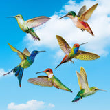 Hummingbird Window Clings Anti-Collision Window Clings Decals to Prevent Bird Strikes on Window Glass Hummingbird Stickers In Australia - Darrahopens