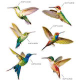 Hummingbird Window Clings Anti-Collision Window Clings Decals to Prevent Bird Strikes on Window Glass Hummingbird Stickers In Australia - Darrahopens