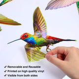 Hummingbird Window Clings Anti-Collision Window Clings Decals to Prevent Bird Strikes on Window Glass Hummingbird Stickers In Australia - Darrahopens