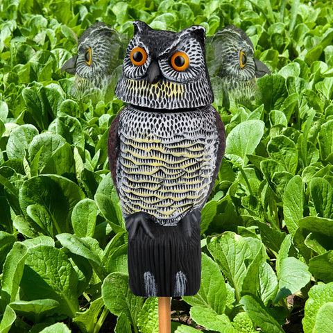 Decoys to Scare Birds Squirrels Away,Owls to Frighten Birds Rotating Head,Plastic Owl Decoy to Scare Birds Away Deterrent In Australia - Darrahopens