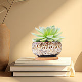 3.94 Inch Round Ceramic Succulent Planter Pot with Drainage Hole, Glazed Shallow Cute Indoor Pot for Cactus, (Plants Not Included)
