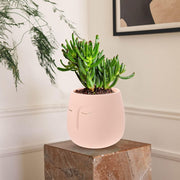 plant pots indoor Flowerpot Ceramics Pink Flower Lovers Table 1Set In Australia - Darrahopens
