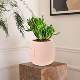 plant pots indoor Flowerpot Ceramics Pink Flower Lovers Table 1Set In Australia - Darrahopens