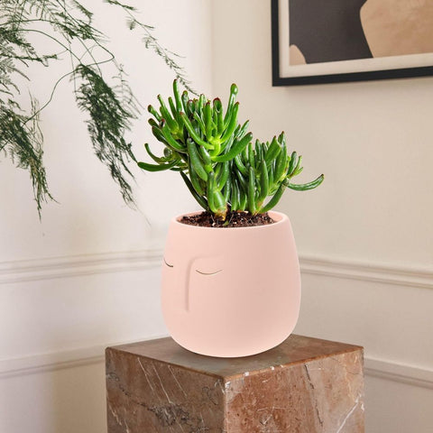 plant pots indoor Flowerpot Ceramics Pink Flower Lovers Table 1Set In Australia - Darrahopens