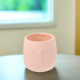 plant pots indoor Flowerpot Ceramics Pink Flower Lovers Table 1Set