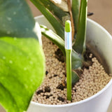 Set of 10, Plant Soil Moisture Sensor,House Plant Soil Moisture Meter, Best for Indoor Potted Plants (Small)
