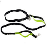 Dog Running Waist Harness with Leashes Handless Dog Leash with Adjustable Belt, Double Bungee Design - Perfect for Running