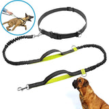 Dog Running Waist Harness with Leashes Handless Dog Leash with Adjustable Belt, Double Bungee Design - Perfect for Running