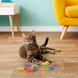 4 Pack Cat Spring Toys for Indoor Cats, Colorful & Durable Plastic Spring Coils Attract Cats to Swat, Bite, Hunt, Interactive Toys In Australia - Darrahopens