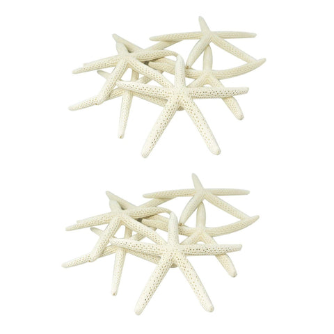 24PCS White Finger Starfish 7-10cm Decorative Five-Finger Starfish
Natural Seashells Starfish Star Fish Shells Decorations White