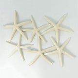 24PCS White Finger Starfish 7-10cm Decorative Five-Finger Starfish
Natural Seashells Starfish Star Fish Shells Decorations White