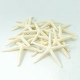 24PCS White Finger Starfish 7-10cm Decorative Five-Finger Starfish
Natural Seashells Starfish Star Fish Shells Decorations White