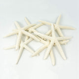 24PCS White Finger Starfish 7-10cm Decorative Five-Finger Starfish
Natural Seashells Starfish Star Fish Shells Decorations White