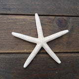24PCS White Finger Starfish 7-10cm Decorative Five-Finger Starfish
Natural Seashells Starfish Star Fish Shells Decorations White
