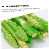 5pcs Simulated Asparagus Lifelike Vegetable Toy Artificial Asparagus Model Faux Asparagus Fern Green Home Decor Asparagus