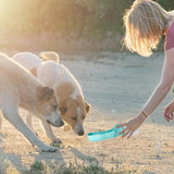 350ml/11.84 oz, Portable Leak-Proof Pet Water Bottle, Foldable, for Cats, Dogs and Small Animals, Outdoor Activities (Blue)