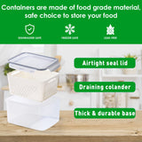 Pack of 3 Fruit Fresh Produce Protector, Grape Container for Fridge, Fruit Saver Lettuce with Drain Colanders, Partitioned Salad