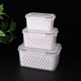 Pack of 3 Fruit Fresh Produce Protector, Grape Container for Fridge, Fruit Saver Lettuce with Drain Colanders, Partitioned Salad