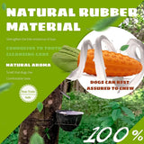 Dog Chew Toy, Carrot Dog Squeaky Toys for Aggressive Chewers, Natural Rubber Dog Teeth-Cleaning Toy for Puppy Small Medium