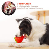 Dog Puzzle Toys, Rubber Dog Chew Toys,Treat Food Dispensing Dog Toys for Teeth Cleaning, Dog Ball Toy, Interactive Dog Enrichment