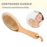 Natural Boar Bristle Body Brush with Contoured Wooden Handle Use regularly for smoother and glowing skin. In Australia - Darrahopens