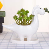 Desktop Cute Cartoon Herbivorous Dinosaur White Ceramic Succulent Pot with Tray, Bonsai Cactus Flower Pot Vase Holder Decorative In Australia - Darrahopens