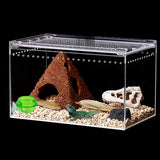 Live Crickets Supplies Worm Dish Automatic Cricket Feeder Peptile Bowl Reptile Pet Food Bowl Crawl Water Dispenser In Australia - Darrahopens