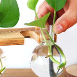 Plant Glass Vase, Tabletop Vase Retro High Borosilicate Glass Good Air Permeability Glass Planter for Office for Hydroponics Plant