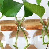 Plant Glass Vase, Tabletop Vase Retro High Borosilicate Glass Good Air Permeability Glass Planter for Office for Hydroponics Plant
