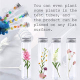 7pcs Plastic transparent flat bottomed test tube container with lid, used for storing bead party candy bath salts