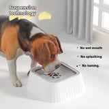 Carried Pet Water Bowl for Dog, Splash-Free, Anti-Choking Dog Bowl,Slow Feeder Fit into Basic Bowls for Dog & Cat Bowls