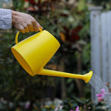 Watering Can for Indoor Outdoor Plants, Modern Small Watering Cans with Removable Nozzle, Long Spout Watering Can