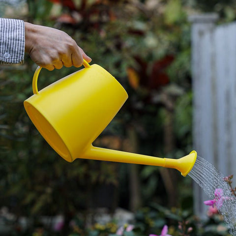 Watering Can for Indoor Outdoor Plants, Modern Small Watering Cans with Removable Nozzle, Long Spout Watering Can